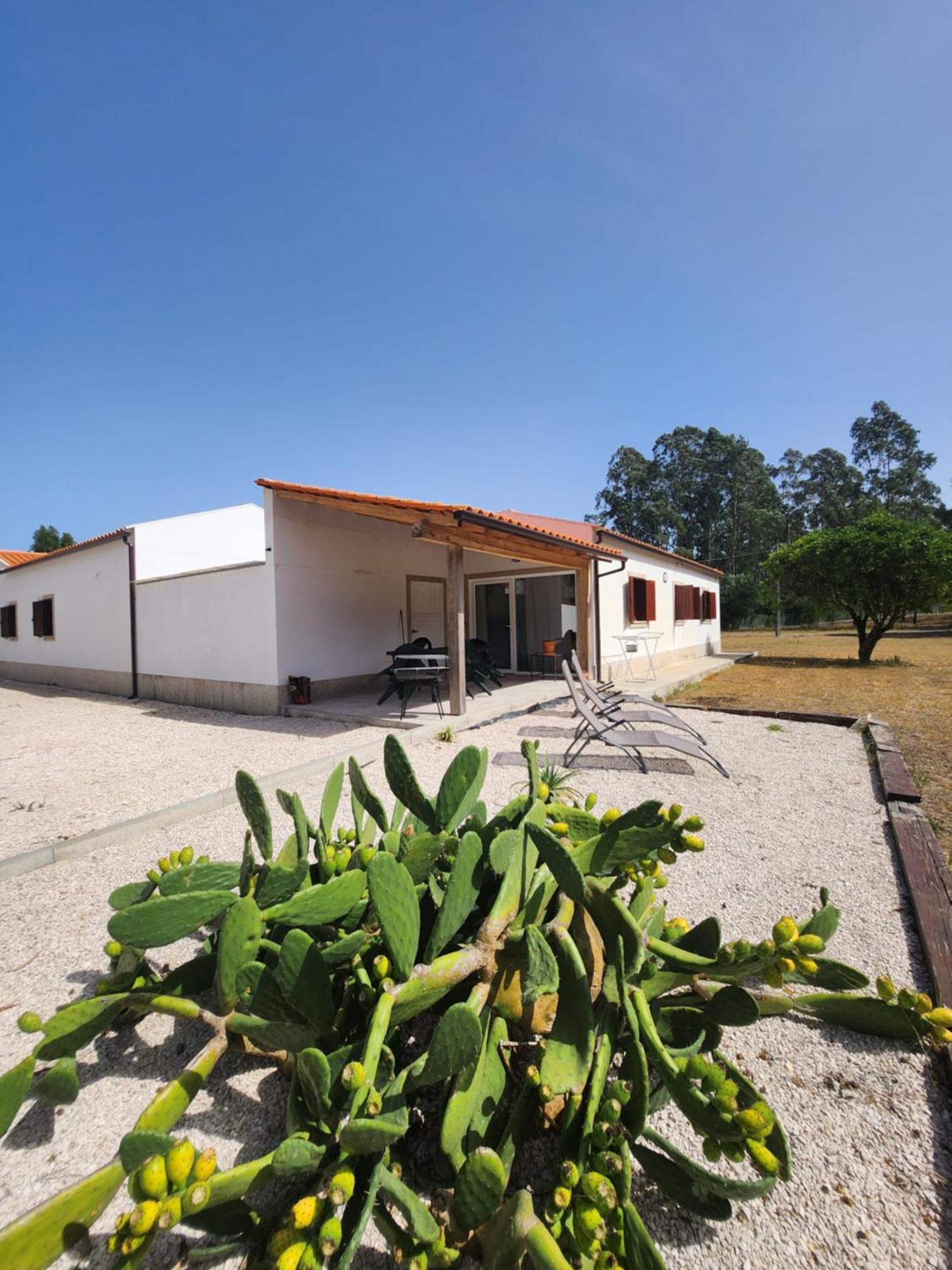 Quinta Das Camarinhas Cantanhede Εξωτερικό φωτογραφία